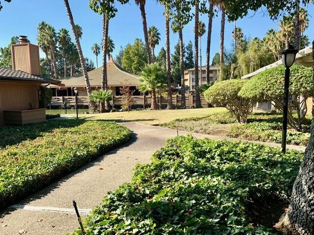 Palm Lake - Photo 2 of 18