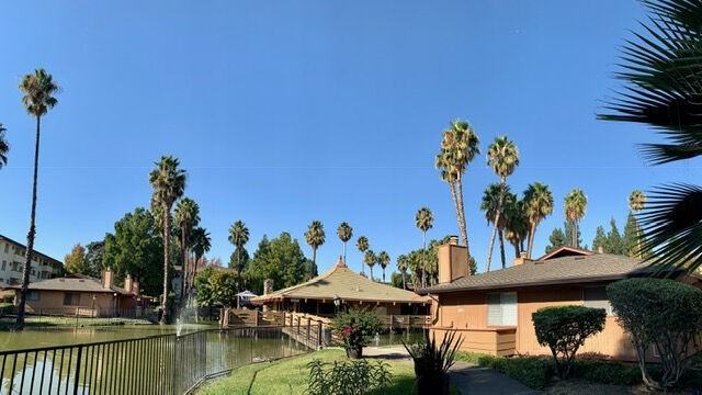 Palm Lake - Photo 3 of 18