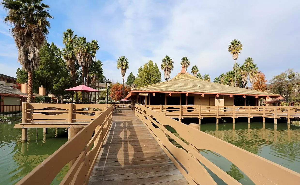 Palm Lake - Photo 4 of 18