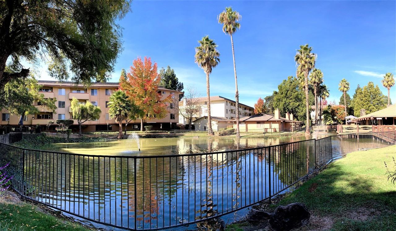 Palm Lake - Photo 5 of 18