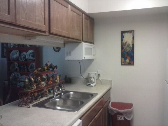 Bristle Arms - Photo 5 of 8