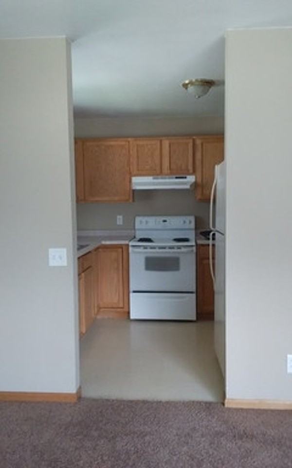 1109 W. Fulton St. - Photo 3 of 5