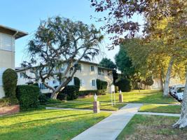 featured image of 1553 Riverside Dr