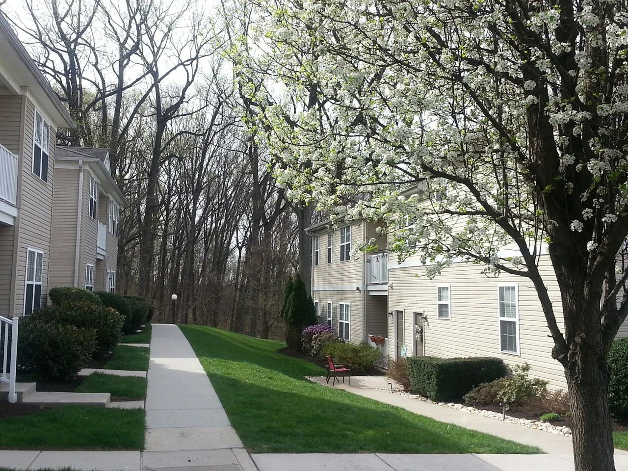The Glen at Shawmont Station - Photo 4 of 12
