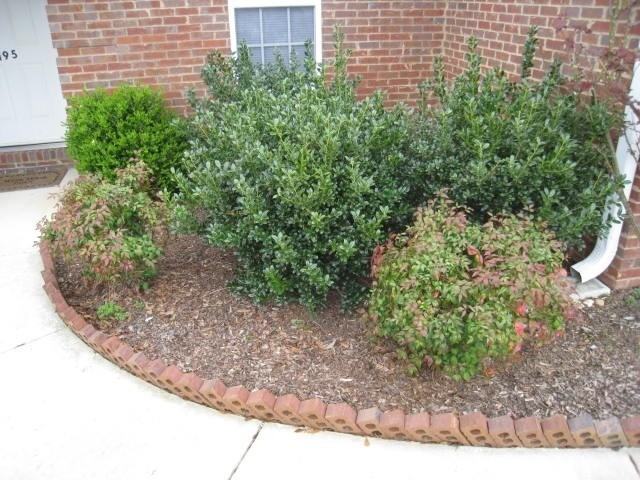 195 Chestnut Oak Cir - Photo 2 of 13