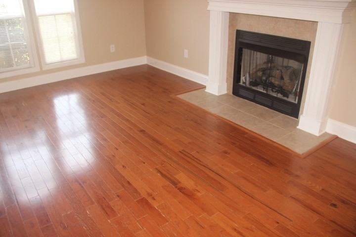 195 Chestnut Oak Cir - Photo 4 of 13