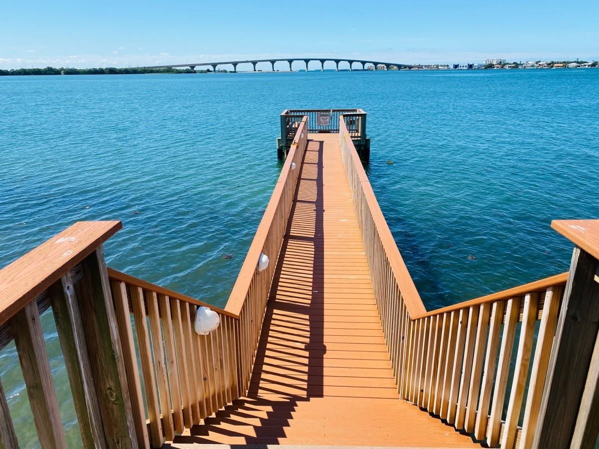 6287 Bahia Del Mar Circle #707 - Photo 7 of 50