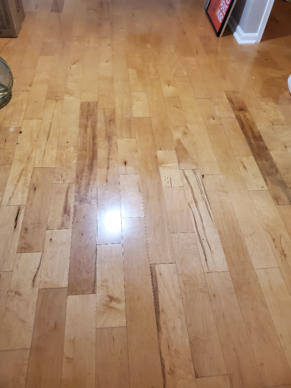 151 Florida Ave - Photo 7 of 20