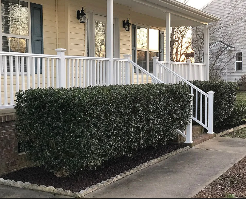 501 Duchess Ln - Photo 2 of 20