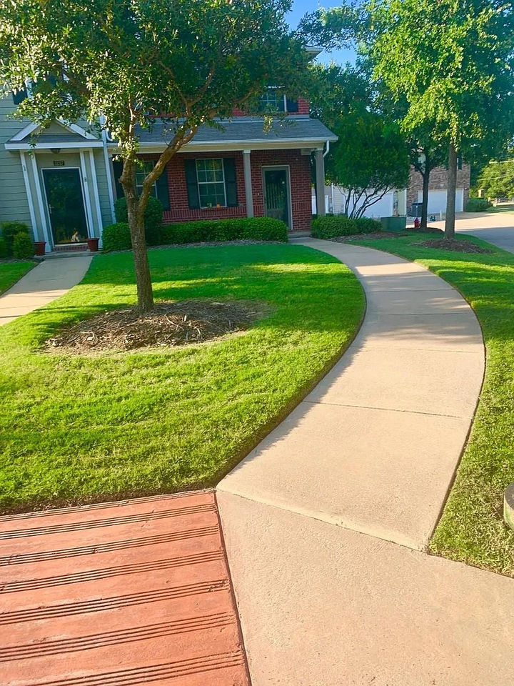 3219 Carlisle St #3219 - Photo 6 of 47