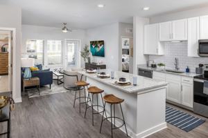 featured image of Seaboard Circle #1