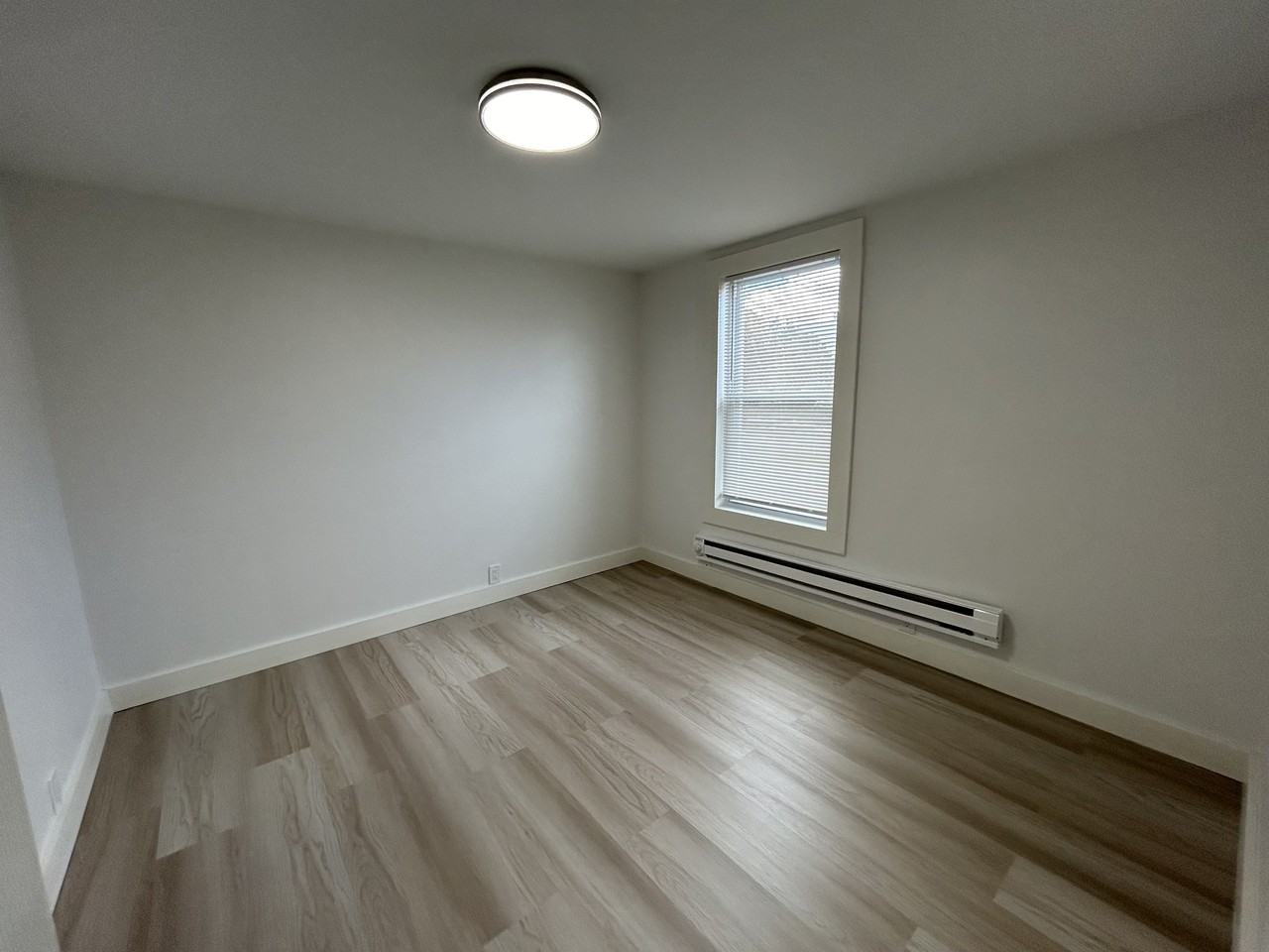 54 Shelby St - Photo 5 of 12