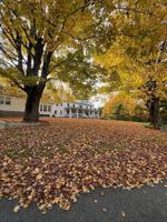 featured image of 365 Summer St