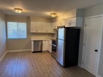 Beautiful Flagstaff Property. Newly Remodeled! - Photo 1 of 1