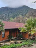 featured image of 7999 Little Borax Lake Rd