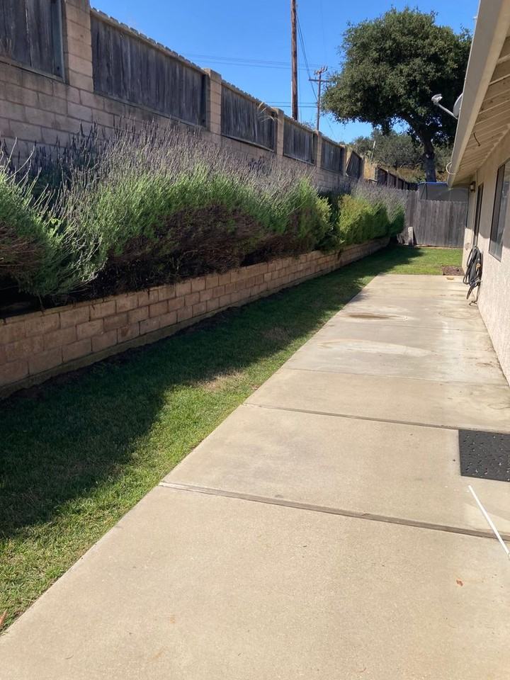 211 Alyssum Cir - Photo 3 of 11