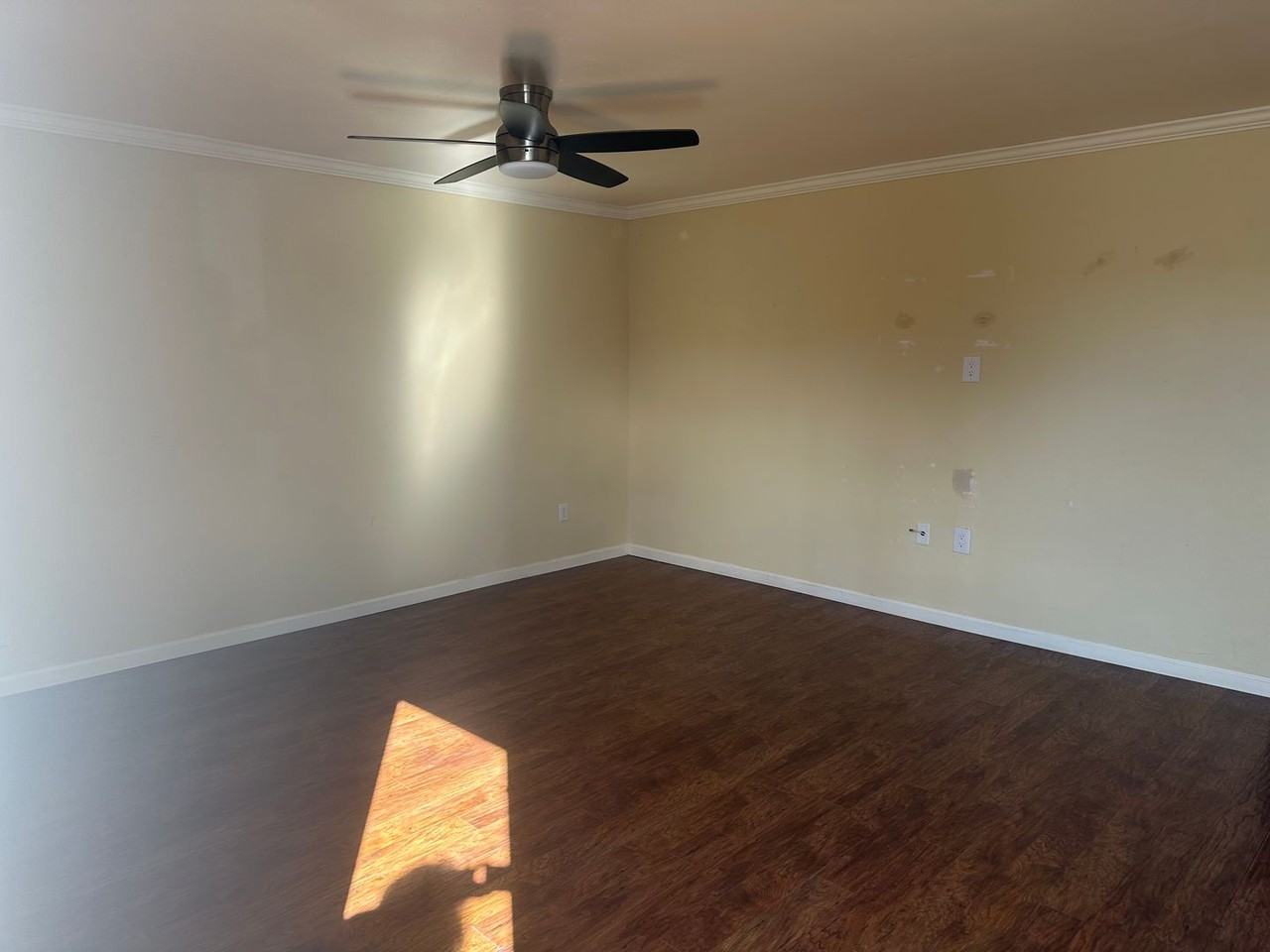 1207 Dorothy St - Photo 3 of 15