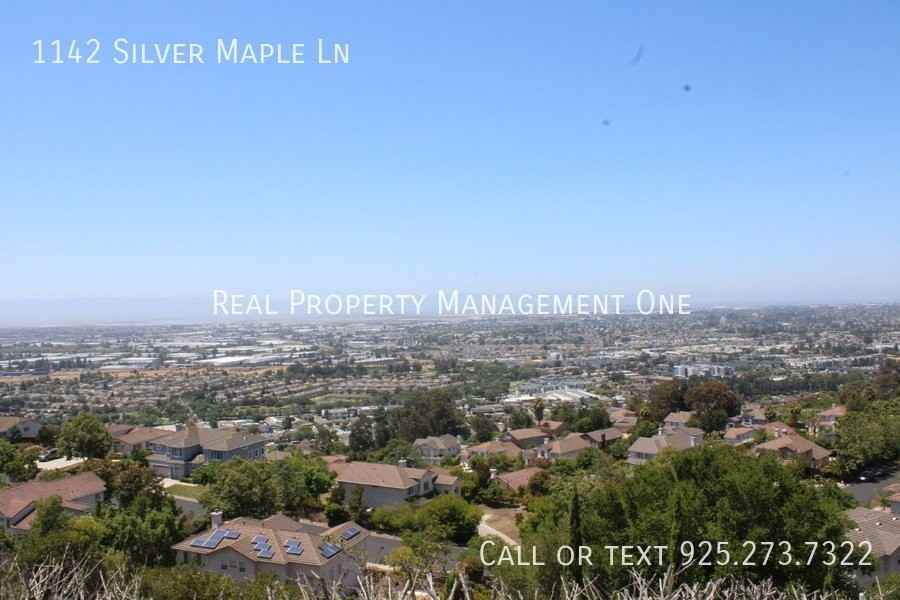1142 Silver Maple Ln - Photo 2 of 46