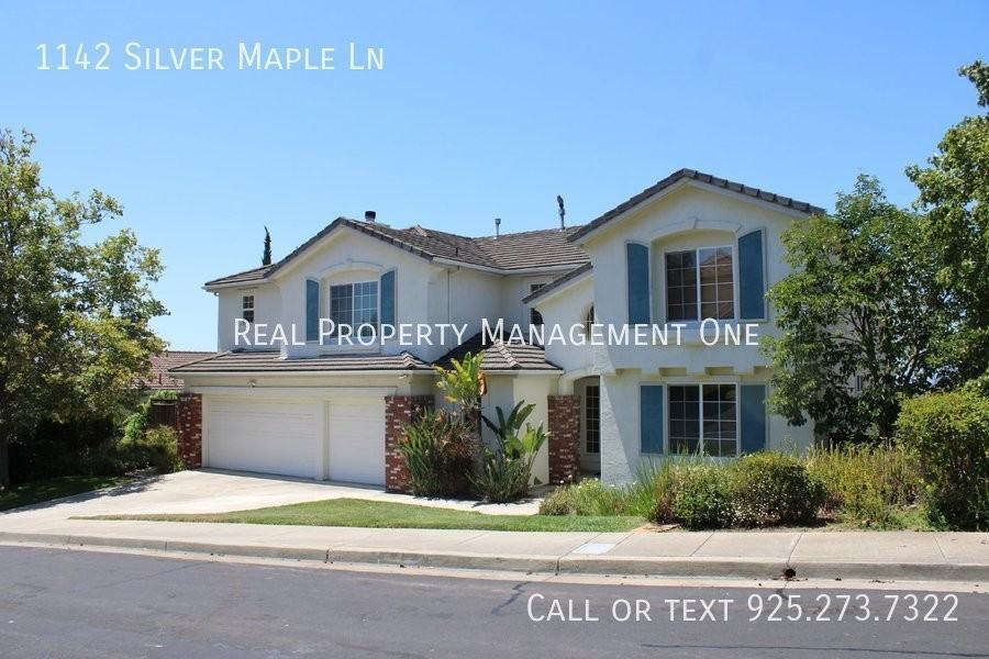 1142 Silver Maple Ln - Photo 3 of 46