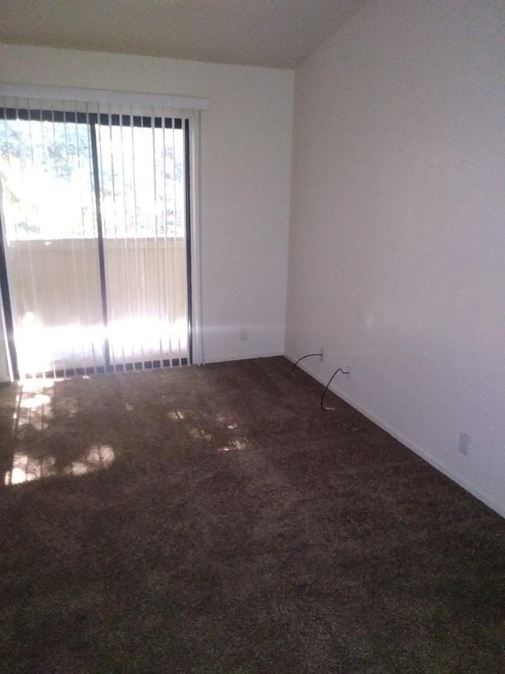 Madison Pines Apartments - Photo 7 of 23