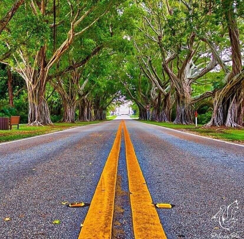 12140 Se Indian River Dr N - Photo 6 of 50