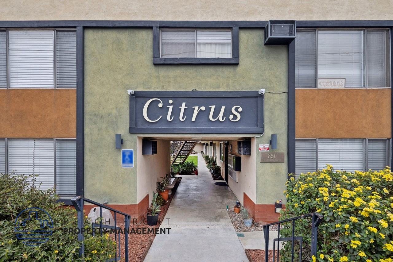 Citrus Apartments - Photo 2 of 26