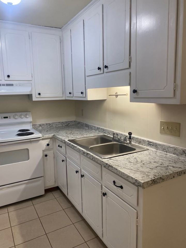 272 Lawrenceville Street - Photo 2 of 15