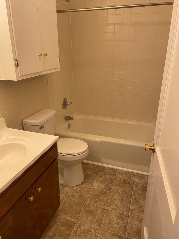 847 Goldfloss St - Photo 6 of 10