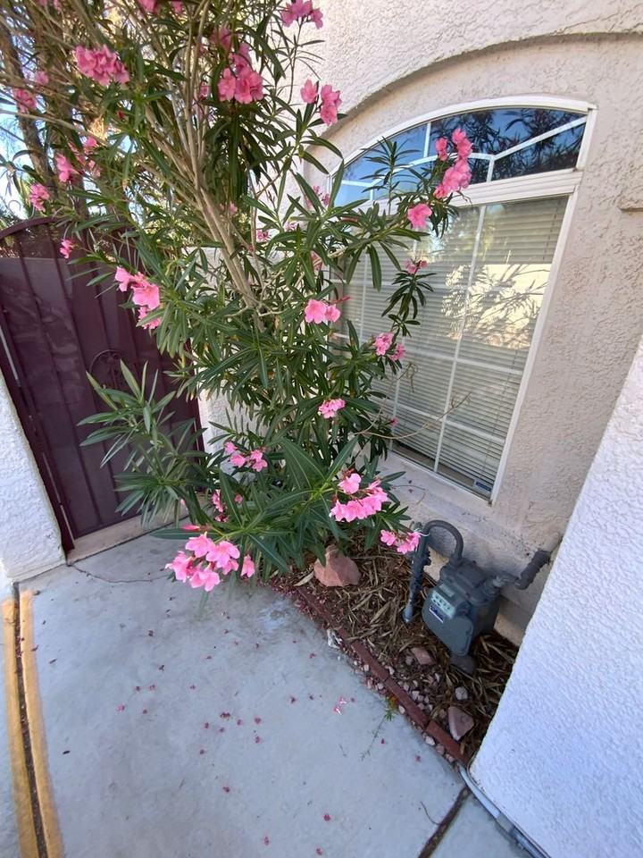 3950 Starfield Ln - Photo 2 of 14