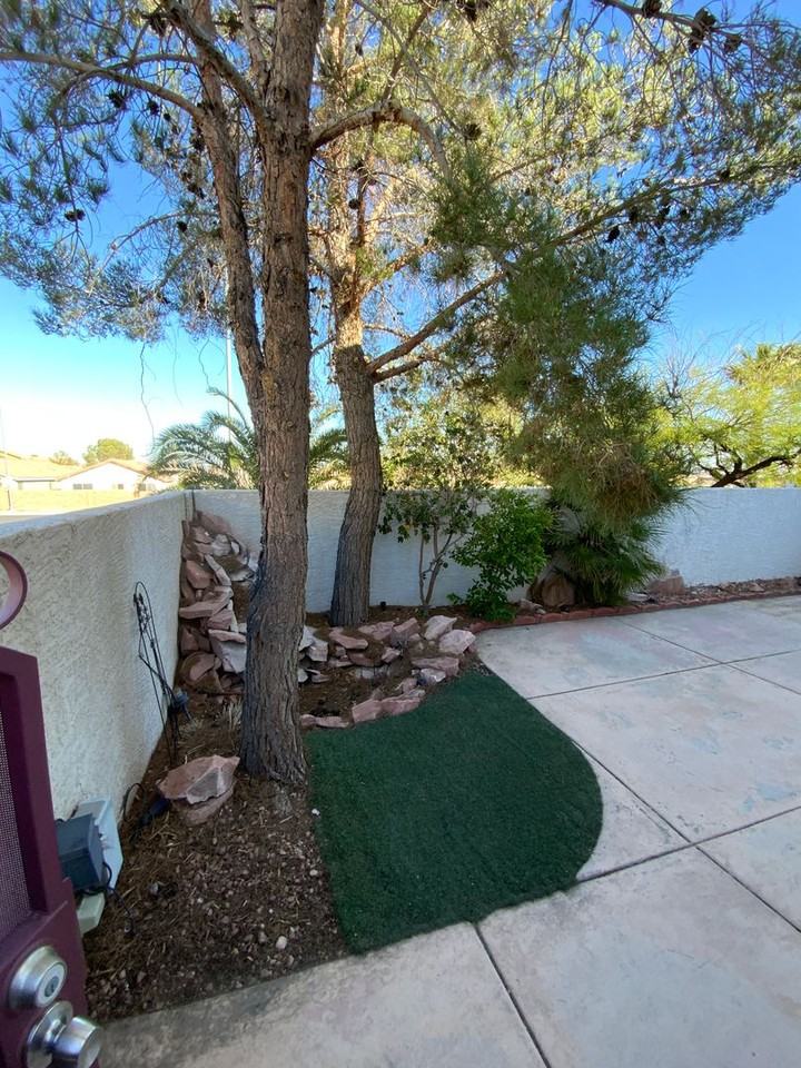 3950 Starfield Ln - Photo 3 of 14