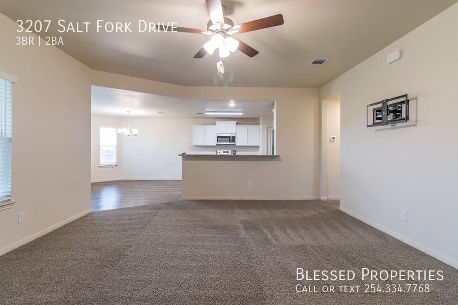3207 Salt Fork Dr - Photo 3 of 30