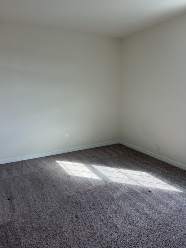 3880 Fescue St - Photo 7 of 16