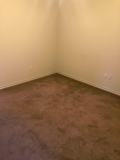 728 Paso Fino St - Photo 1 of 1
