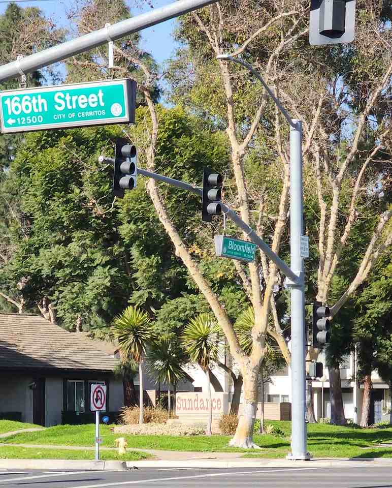 16418 Meadowbrook Ln - Photo 2 of 18