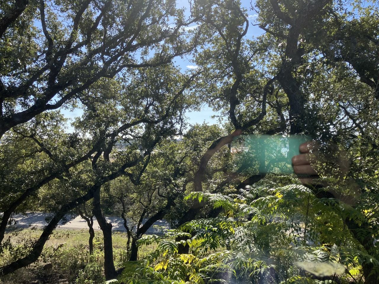 1085 Arcadia Dr - Photo 7 of 25