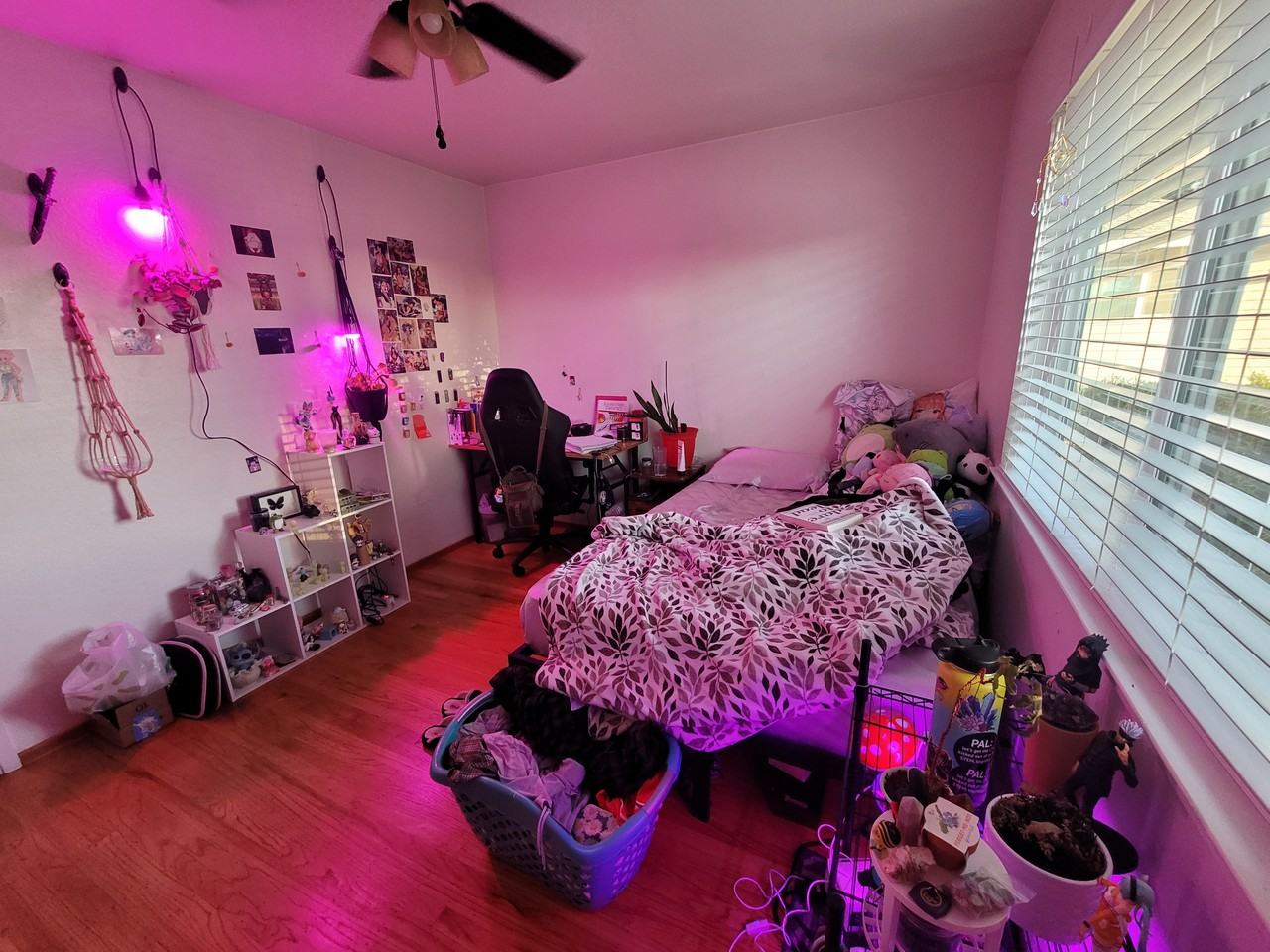 6929 Mcquillan Cir #NA - Photo 4 of 12