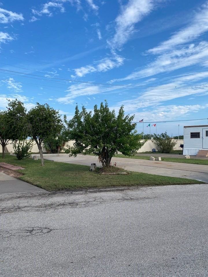 113 Abalone Cir - Photo 5 of 13