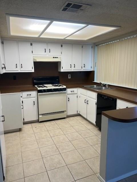 1903 Silver Leaf Street - Photo 6 of 21