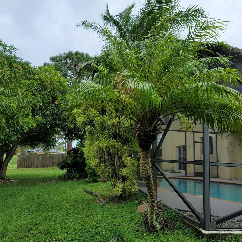 5420 Nw Emblem St - Photo 6 of 9