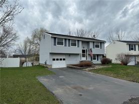 8223 Lucchesi Dr - Photo 1 of 1