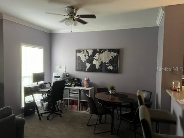 527 Water Street - Photo 4 of 13