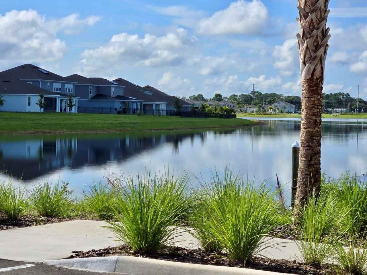 3101 Ella Way - Photo 3 of 30