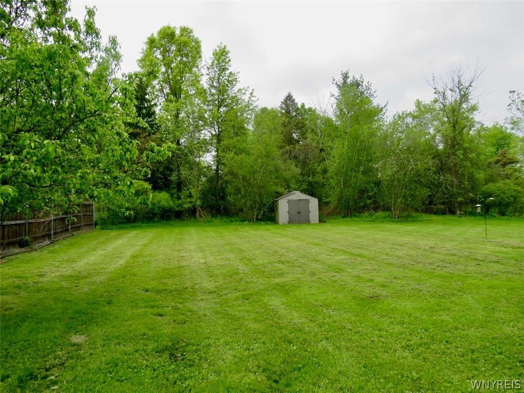 1198 Meadow Ln - Photo 3 of 18