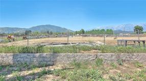 38926 Lewis Ct - Photo 1 of 1