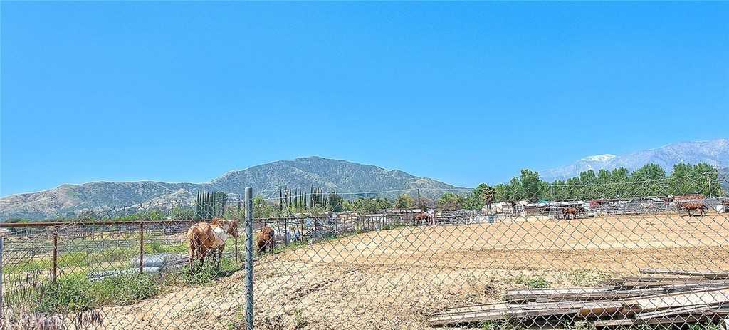 38926 Lewis Court - Photo 2 of 46