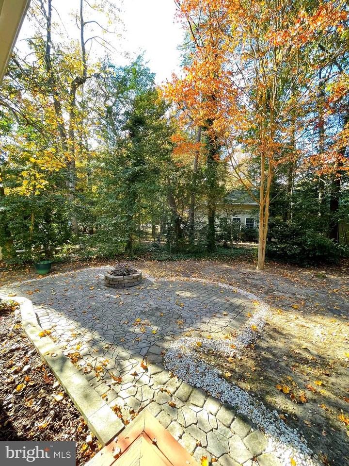 23147 Grey Squirrel Ln - Photo 4 of 44