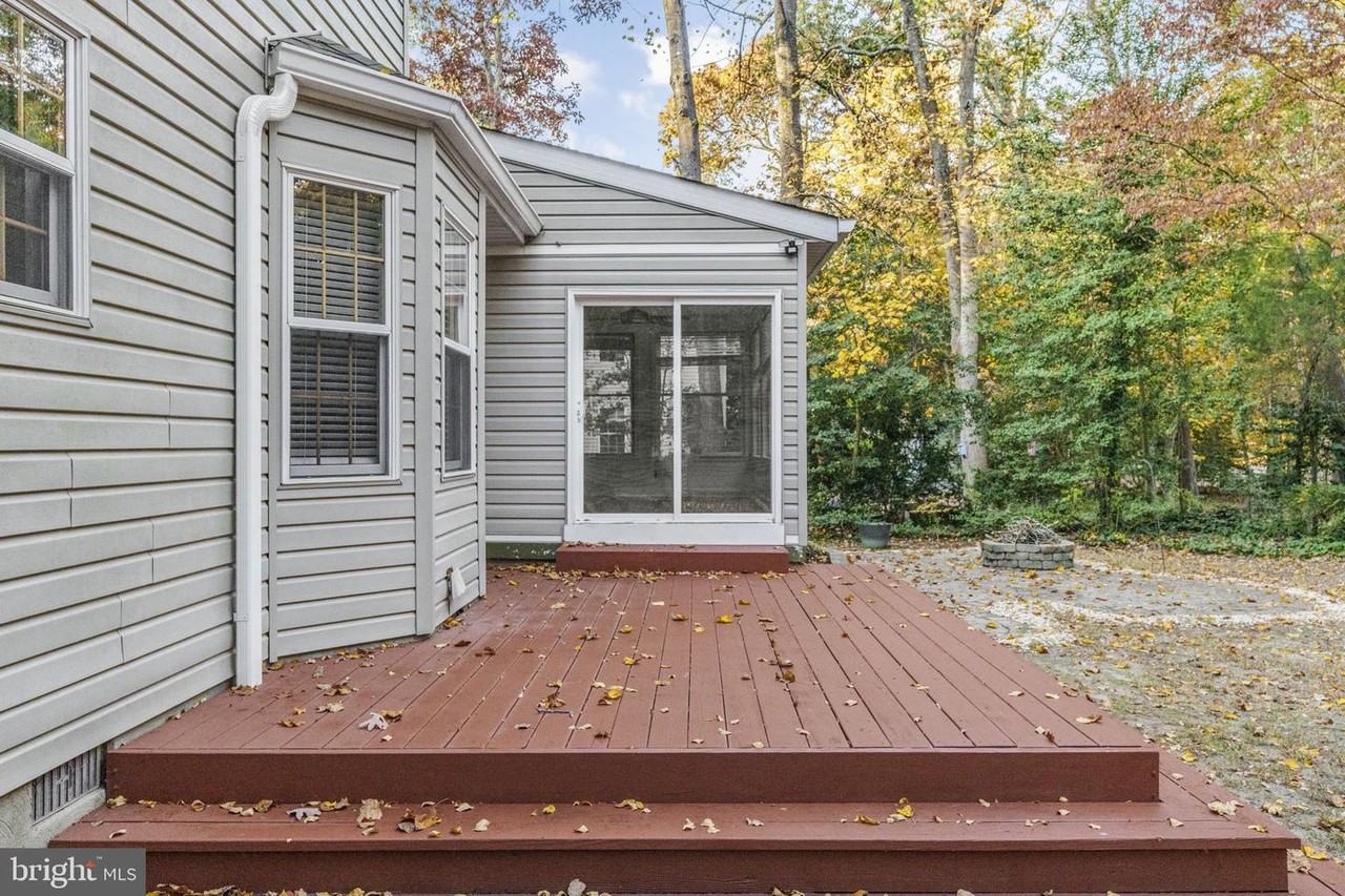 23147 Grey Squirrel Ln - Photo 6 of 44