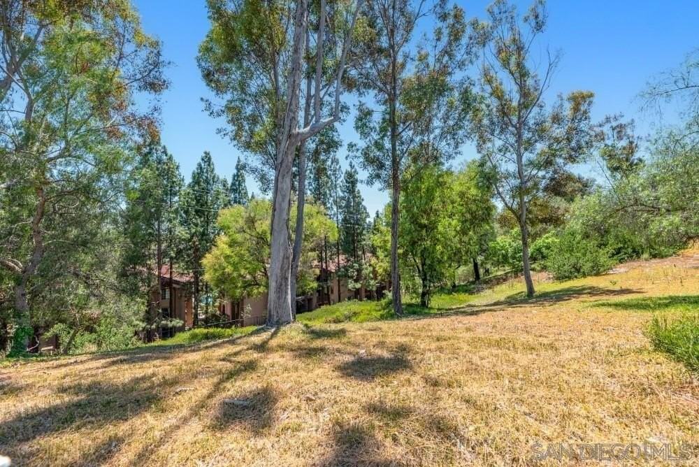 12125 Avenida Sivrita - Photo 7 of 50