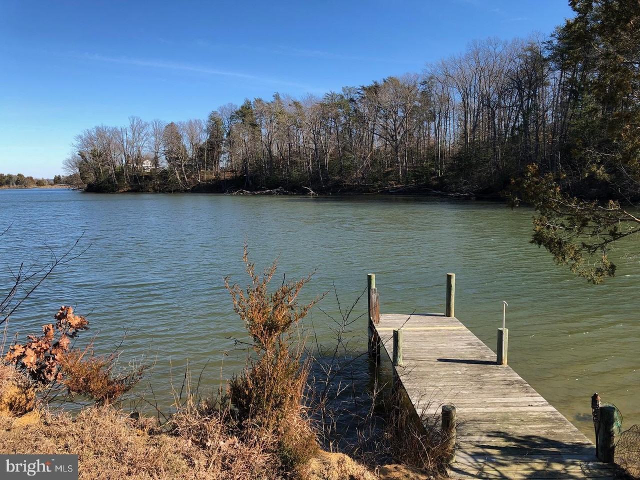 46420 Rue Purchase Rd - Photo 2 of 18