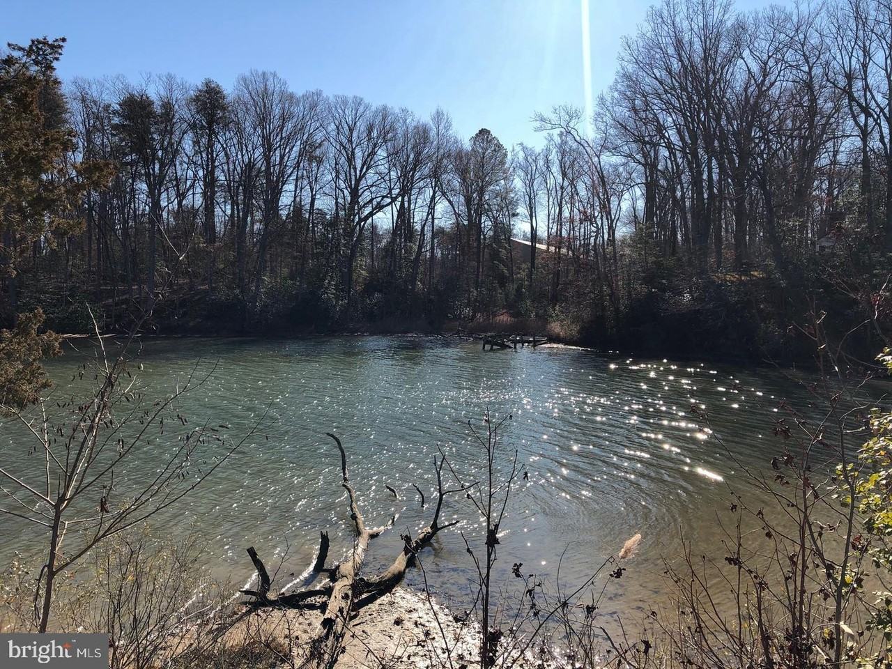 46420 Rue Purchase Rd - Photo 3 of 18